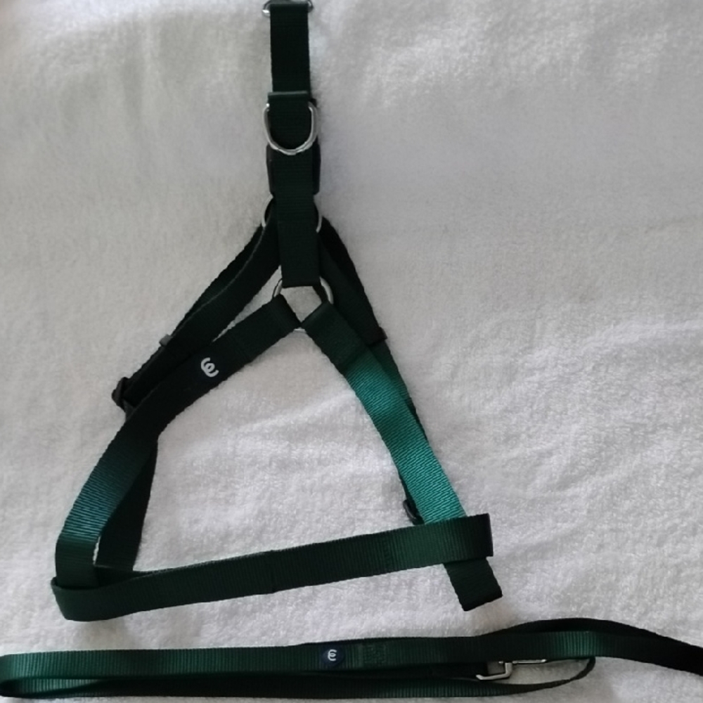 Sonoma Green Dog Harness